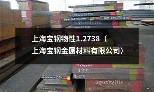 上海寶鋼物性1.2738（上海寶鋼金屬材料有限公司）