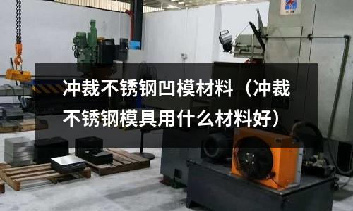 沖裁不銹鋼凹模材料(沖裁不銹鋼模具用什么材料好)