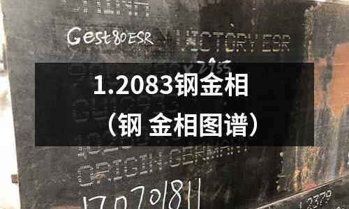 1.2083鋼金相（鋼 金相圖譜）