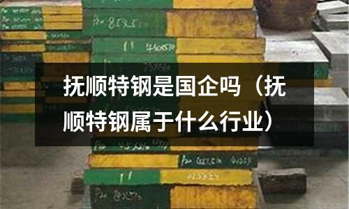 撫順特鋼是國企嗎(撫順特鋼屬于什么行業)