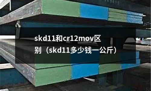 skd11和cr12mov區(qū)別(skd11多少錢一公斤)