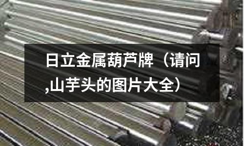 日立金屬葫蘆牌（請問,山芋頭的圖片大全）