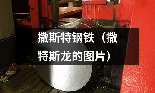 撒斯特鋼鐵(撒特斯龍的圖片)