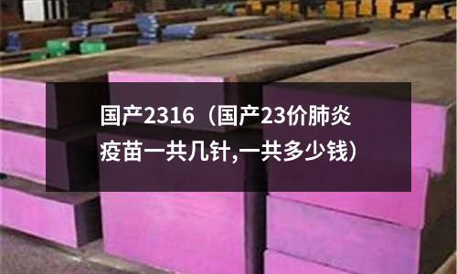國(guó)產(chǎn)2316(國(guó)產(chǎn)23價(jià)肺炎疫苗一共幾針,一共多少錢)