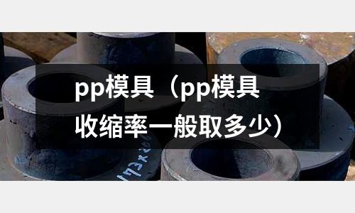 pp模具(pp模具收縮率一般取多少)