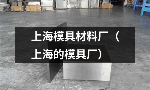 上海模具材料廠(上海的模具廠)
