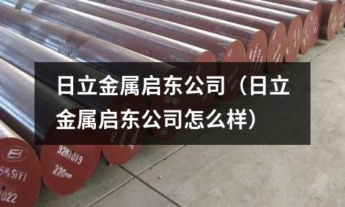 日立金屬啟東公司（日立金屬啟東公司怎么樣）