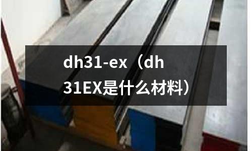 dh31-ex（dh31EX是什么材料）