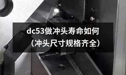 dc53做沖頭壽命如何（沖頭尺寸規格齊全）