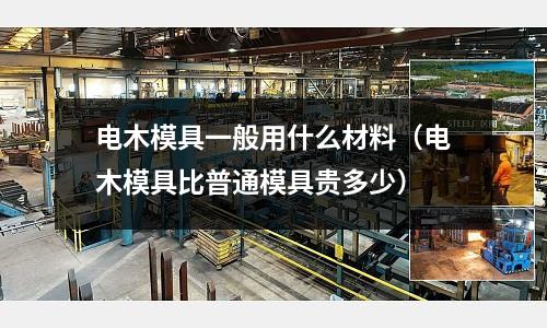 電木模具一般用什么材料(電木模具比普通模具貴多少)