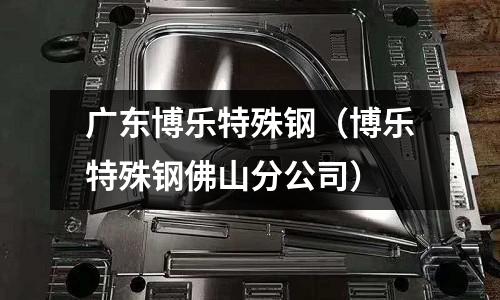 廣東博樂特殊鋼（博樂特殊鋼佛山分公司）