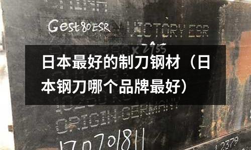 日本最好的制刀鋼材(日本鋼刀哪個品牌最好)