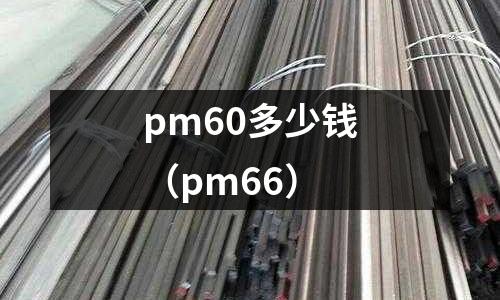 pm60多少錢(pm66)