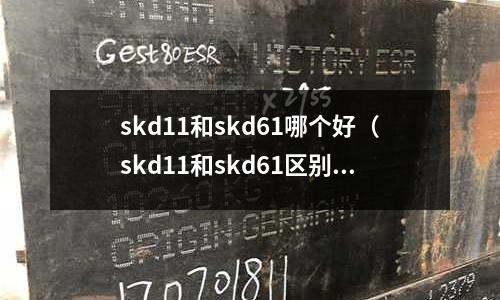 skd11和skd61哪個好(skd11和skd61區別)