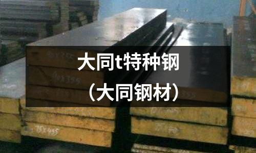 大同t特種鋼（大同鋼材）