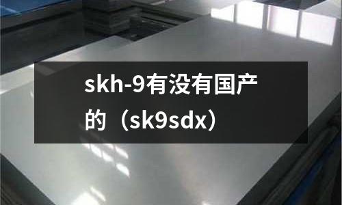 skh-9有沒有國產的（sk9sdx）