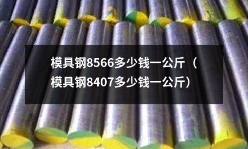 模具鋼8566多少錢一公斤（模具鋼8407多少錢一公斤）