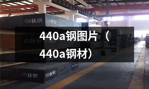 440a鋼圖片(440a鋼材)
