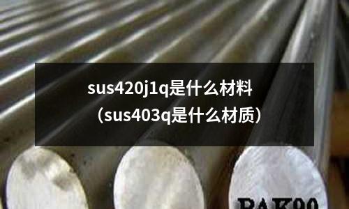 sus420j1q是什么材料(sus403q是什么材質)