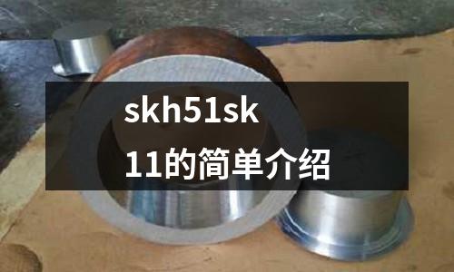 skh51sk11的簡單介紹