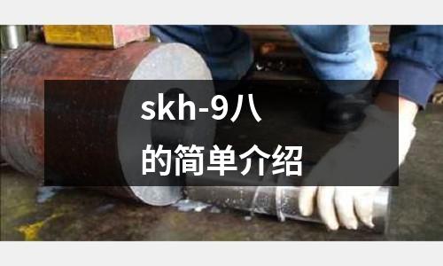 skh-9八的簡單介紹