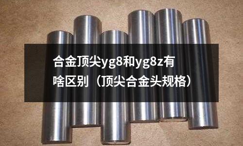 合金頂尖yg8和yg8z有啥區別（頂尖合金頭規格）