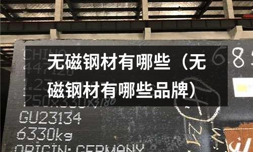 無磁鋼材有哪些（無磁鋼材有哪些品牌）