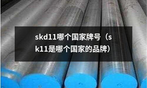 skd11哪個(gè)國家牌號(hào)(sk11是哪個(gè)國家的品牌)
