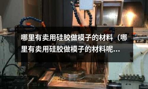哪里有賣用硅膠做模子的材料(哪里有賣用硅膠做模子的材料呢)