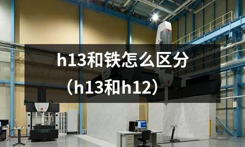 h13和鐵怎么區(qū)分（h13和h12）