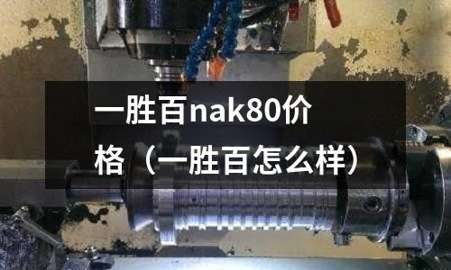 一勝百nak80價格(一勝百怎么樣)