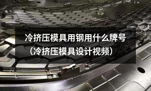 冷擠壓模具用鋼用什么牌號（冷擠壓模具設計視頻）