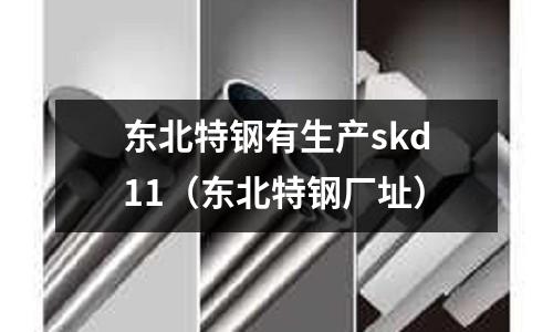 東北特鋼有生產skd11（東北特鋼廠址）