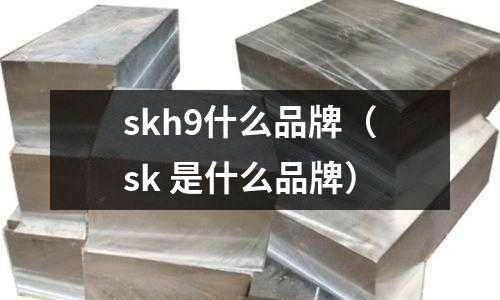 skh9什么品牌(sk 是什么品牌)