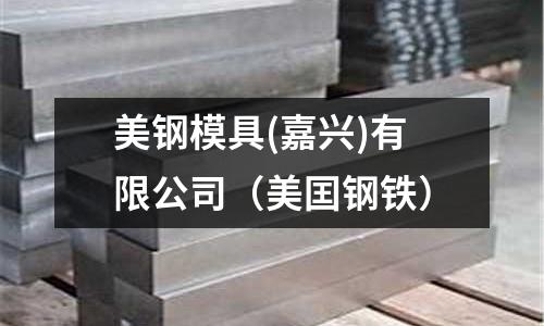 美鋼模具(嘉興)有限公司（美囯鋼鐵）