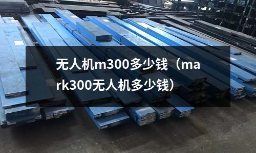 無人機m300多少錢（mark300無人機多少錢）