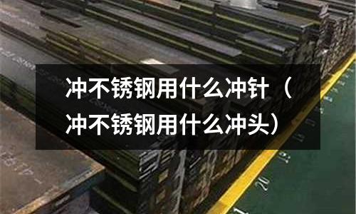 沖不銹鋼用什么沖針(沖不銹鋼用什么沖頭)