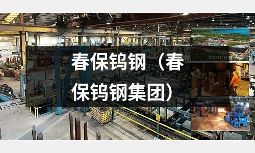 春保鎢鋼(春保鎢鋼集團)