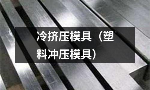 冷擠壓模具（塑料沖壓模具）