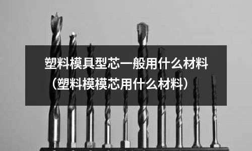 塑料模具型芯一般用什么材料(塑料模模芯用什么材料)