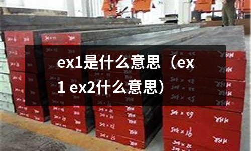 ex1是什么意思(ex1 ex2什么意思)