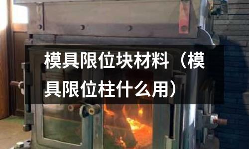 模具限位塊材料（模具限位柱什么用）