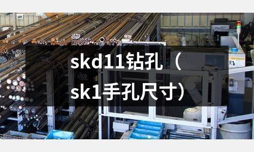 skd11鉆孔(sk1手孔尺寸)