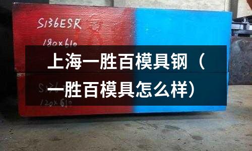 上海一勝百模具鋼(一勝百模具怎么樣)