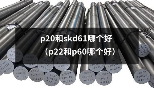 p20和skd61哪個(gè)好（p22和p60哪個(gè)好）