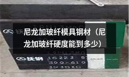 尼龍加玻纖模具鋼材（尼龍加玻纖硬度能到多少）