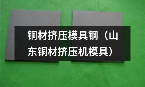 銅材擠壓模具鋼(山東銅材擠壓機模具)