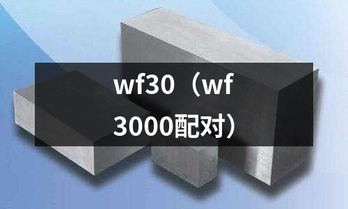 wf30(wf3000配對)