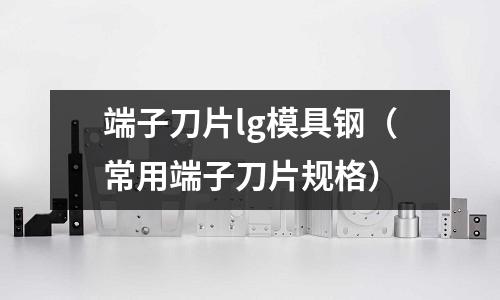 端子刀片lg模具鋼(常用端子刀片規格)
