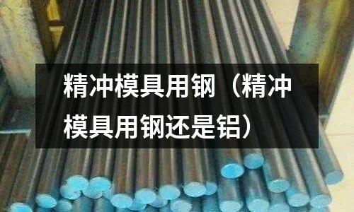 精沖模具用鋼(精沖模具用鋼還是鋁)